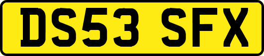 DS53SFX