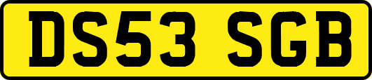 DS53SGB