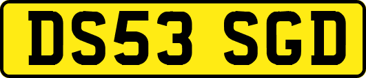 DS53SGD