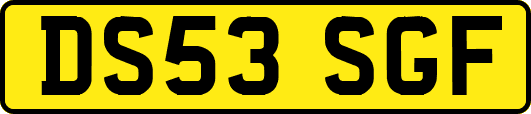 DS53SGF