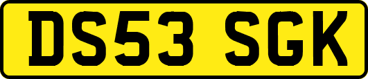 DS53SGK
