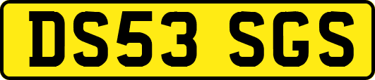 DS53SGS