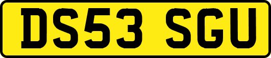 DS53SGU