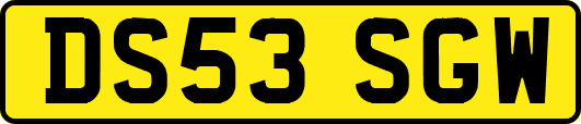 DS53SGW