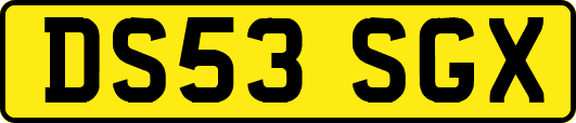 DS53SGX