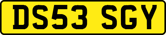DS53SGY