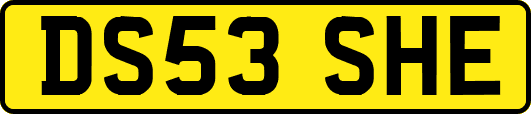 DS53SHE