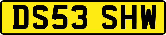 DS53SHW