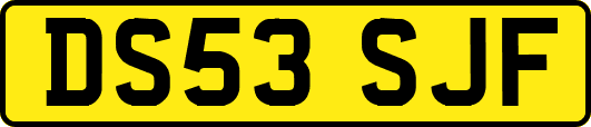 DS53SJF