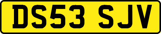 DS53SJV