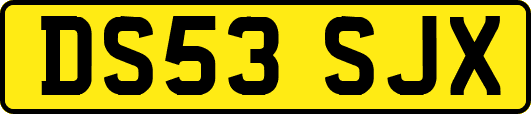 DS53SJX