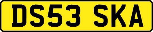 DS53SKA