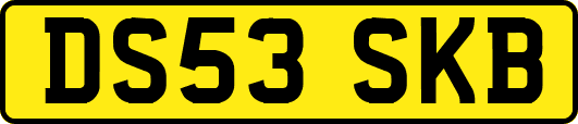 DS53SKB