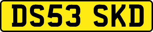 DS53SKD