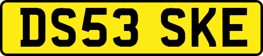 DS53SKE