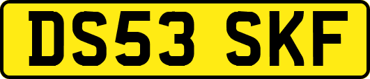 DS53SKF
