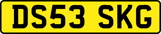 DS53SKG