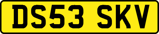 DS53SKV