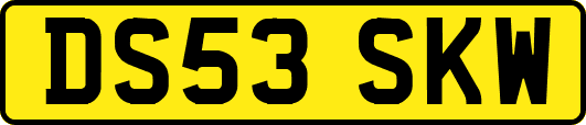DS53SKW