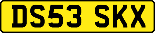 DS53SKX