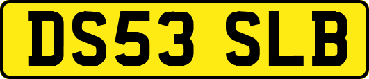 DS53SLB