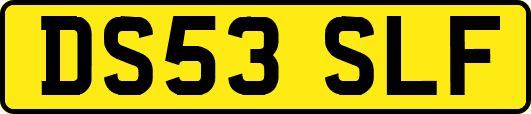DS53SLF