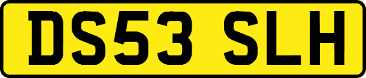 DS53SLH
