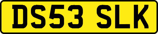 DS53SLK