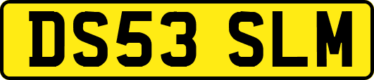 DS53SLM