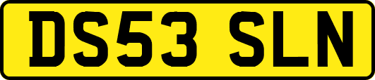 DS53SLN