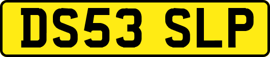 DS53SLP