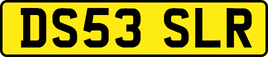 DS53SLR