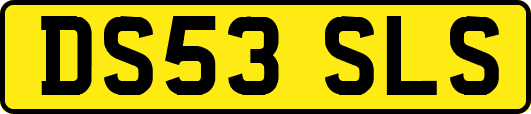 DS53SLS