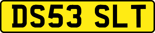 DS53SLT
