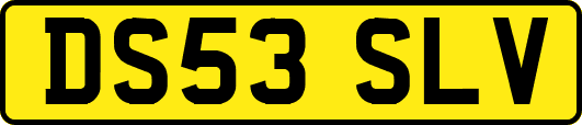 DS53SLV