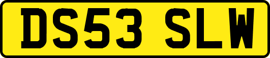 DS53SLW