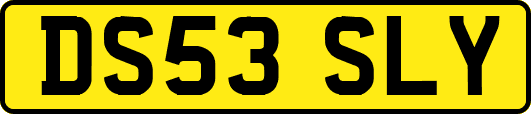 DS53SLY