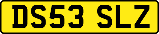 DS53SLZ