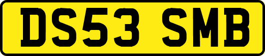 DS53SMB