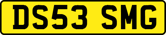 DS53SMG