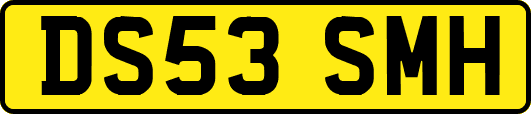 DS53SMH