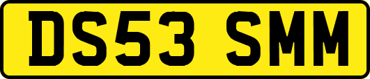 DS53SMM