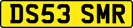 DS53SMR