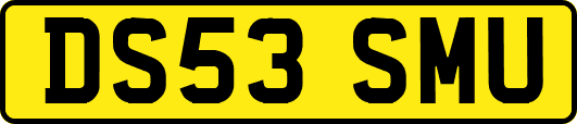 DS53SMU
