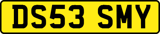 DS53SMY