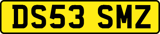 DS53SMZ