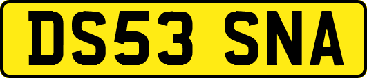 DS53SNA