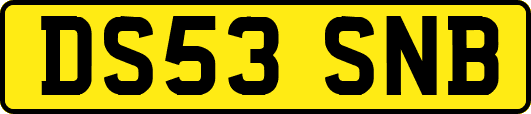 DS53SNB