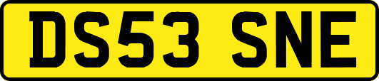 DS53SNE
