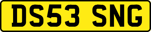 DS53SNG